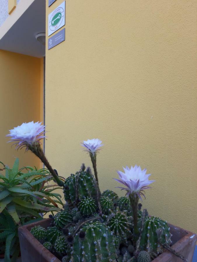 Mediterranean Concept House Hotel La Spezia Ngoại thất bức ảnh