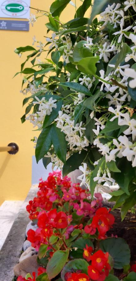 Mediterranean Concept House Hotel La Spezia Ngoại thất bức ảnh